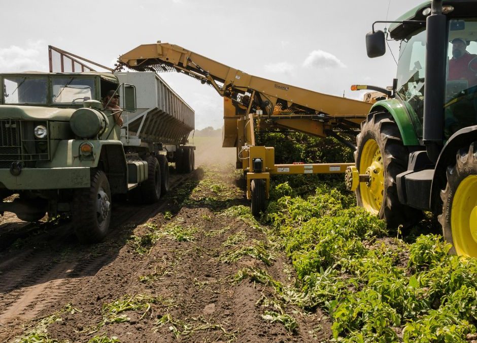 Regione Toscana e caldo record: stop al lavoro agricolo fra le 12.30 e le 16 nei giorni a rischio