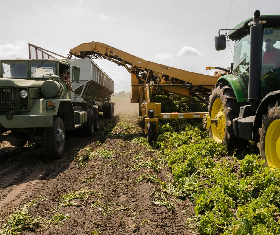 Regione Toscana e caldo record: stop al lavoro agricolo fra le 12.30 e le 16 nei giorni a rischio